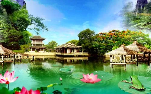 先进高端